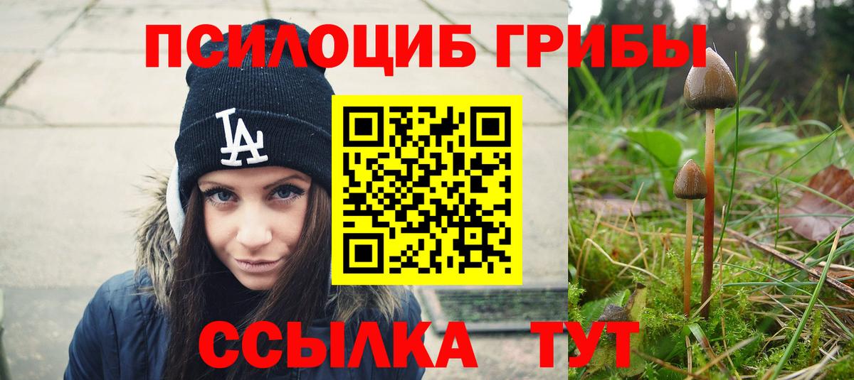 Галлюциногенные грибы Cubensis  Псилоцибиновые грибы Magic Shrooms  Вход с VPN  Симферополь 